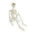 Halloween Decorations Skeleton,3 Foot Posable Human Shape Skeleton,Halloween Fake Bone Horror Decoration