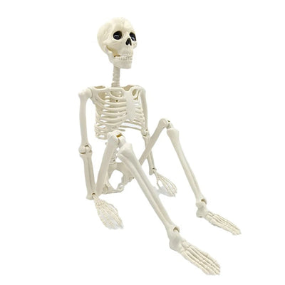 Halloween Decorations Skeleton,3 Foot Posable Human Shape Skeleton,Halloween Fake Bone Horror Decoration