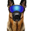 Dog Goggles Adjustable Pet Glasses Dog Sunglasses for Small Medium Large Dogs Puppy Skiing Ourdoor Eyes Protection Pet Supplies