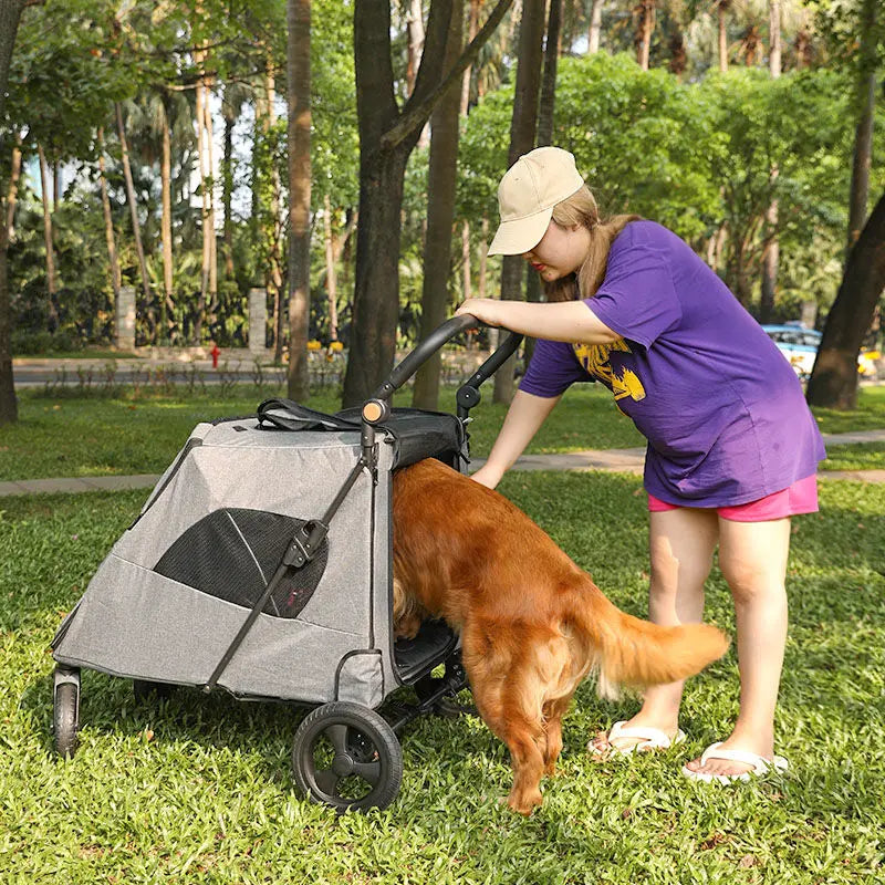 Pet Troller - Foldable , suit for elderly dog, disability assistance