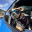 Foldable Pet Glasses Dog Goggles Fashion Sunglasses Summer Windproof Sunscreen Dogs Puppy Accessories Pet Supplies