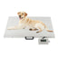 The 80*53 Cm Ultra-thin Pet Hospital All-stainless Steel Large-top Portable Electronic Platform Scale Can Be Recharged