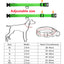 LED Glowing Dog Collar Adjustable Flashing Rechargea Luminous Collar Night Anti-Lost Dog Light HarnessFor Small Dog Pet Products