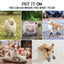 Dog Shoes Non-Slip Soles Thick Plush Protection Paw Pet Shoes Warm For Dog Non-Slip Dog Shoes Breathable Climbing Pets Booties