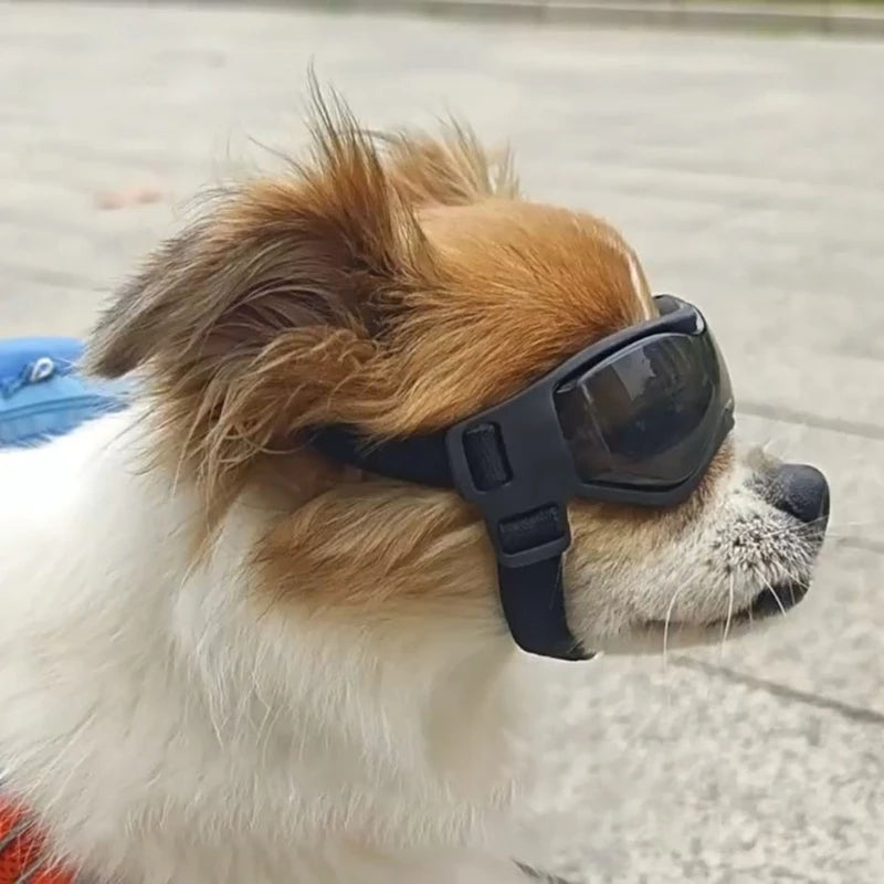 Dog Summer Sunglasses Soft Windproof Anti-UV with Adjustable Strap for Outdoor Sports Goggles for Heavy Snow Dropshipping
