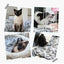 Cat and Dog Pet Blanket Calming Blanket Fluffy Pet Blanket Super Soft Warm Comfort Blanket Cute Pattern Washable Puppy Fur