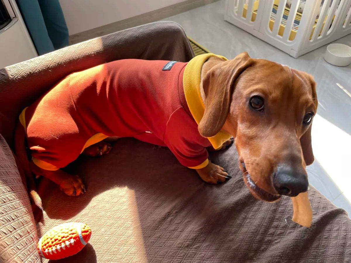 Fashion Red Dachshund Clothes Stretch Spring Winter Soft Sausage Dog Four-legged Pajamas Comfortable Autumn Badger Dog Clothes
