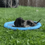 100-200cm Pet Sprinkler Pad Play Cooling Mat Swimming Pool Inflatable Water Spray Pad Mat Tub Summer Cool Dog Bathtub for Dogs