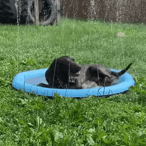 100-200cm Pet Sprinkler Pad Play Cooling Mat Swimming Pool Inflatable Water Spray Pad Mat Tub Summer Cool Dog Bathtub for Dogs
